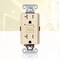 Faith Self-Test 20A TR GFCI Outlet Receptacle w/ Wall Plate, Ivory, PK 10 GLS-20ATR-IV-10 - alternate 3